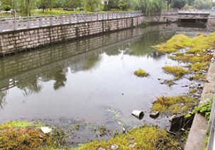 造紙廢水處理